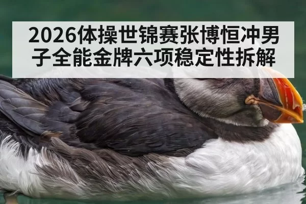 2026体操世锦赛张博恒冲男子全能金牌六项稳定性拆解